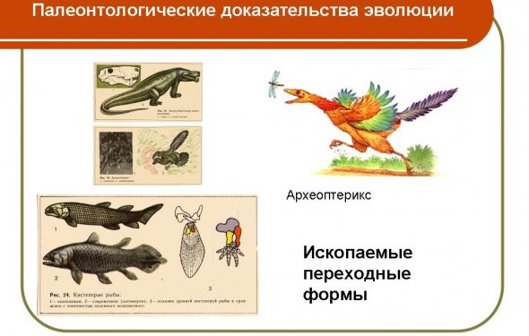Контрольная работа по
