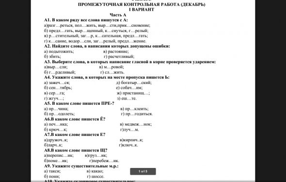 Контрольная работа по русскому