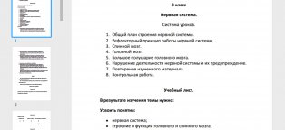Контрольная Работа 6 Класс Математика
