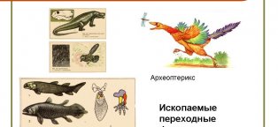 Контрольная Работа по Педагогике